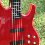 Profile photo of Dominic De Bellis Double D Basses