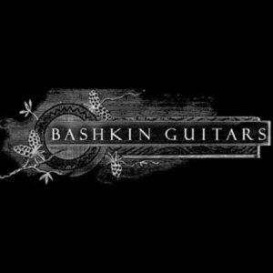 Profile photo of Michael Bashkin Bashkin Guitars