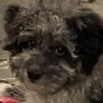 Profile photo of Ben Miranda